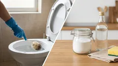 Čištění toalety octem je neuvěřitelně snadné: i několik let staré usazeniny se „odstraní“ bez námahy