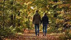 Proč nestačí jen počítat kroky: 15min procházka denně dělá větší rozdíl