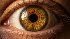 Proč modré oči nejsou doopravdy modré a co s tím má společného fyzika