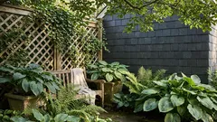 Co pěstovat ve stínu a polostínu: praktický seznam rostlin pro českou zahradu