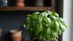 Indoor zahrádka v bytě: jak pěstovat bylinky na parapetu i v zimě